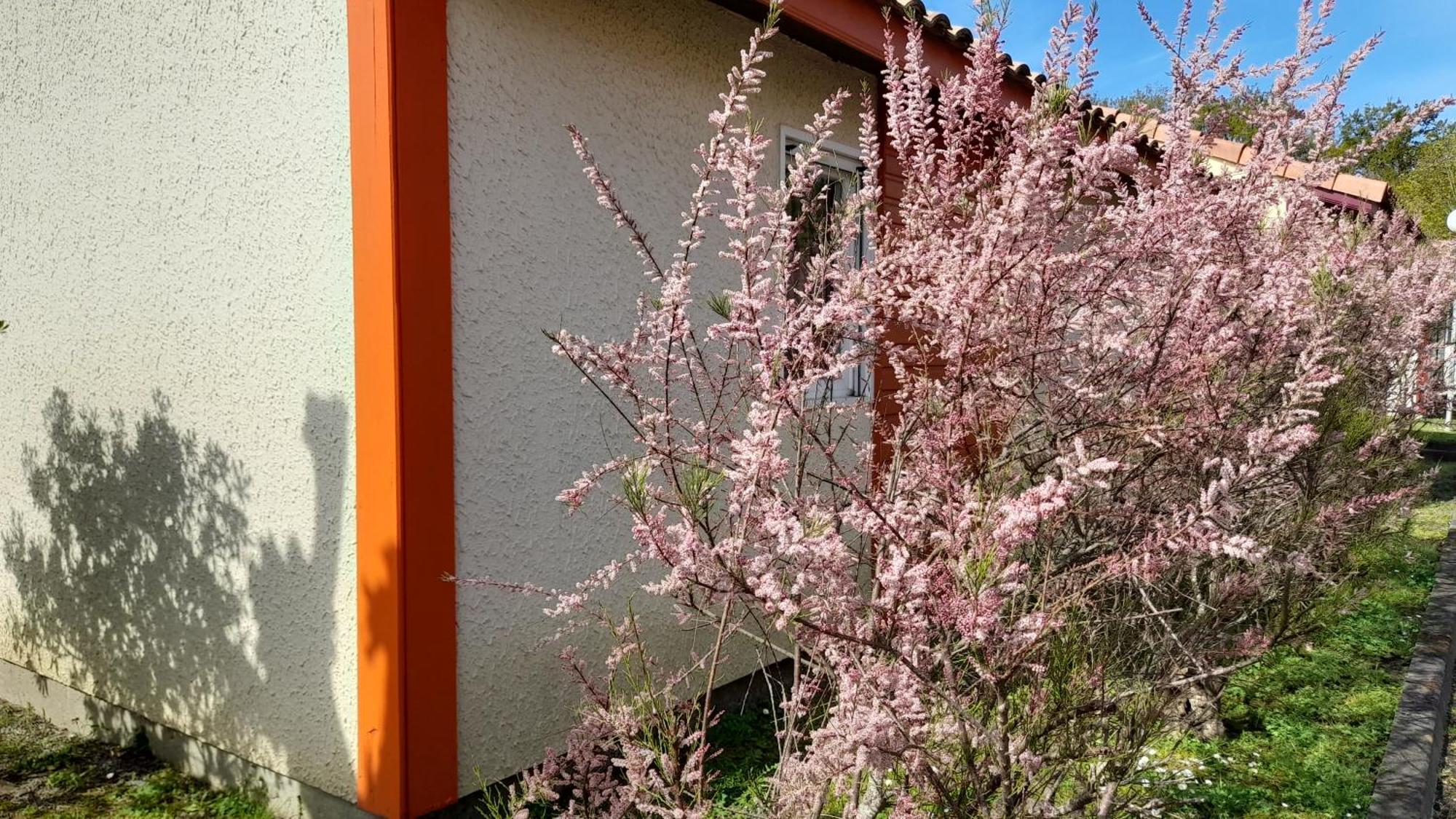 Residence Mes Amours D'Enfants - Les Villas Du Lac Soustons Exterior foto